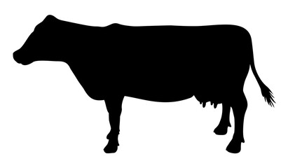 silhouette of an animal cow vector