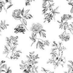 Monochrome seamless pattern with medicinal shrubs