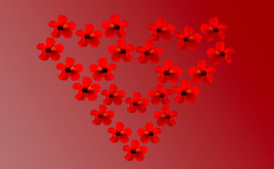 Fototapeta na wymiar Red Heart made of flowers, Happy Valentine’s Day