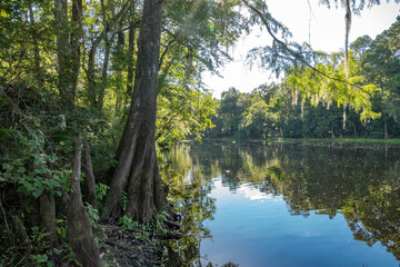 Santa Fe River Poe Springs, Gilchrist County, Florida