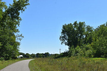 Trout Brook Nature Sanctuary a Summer Experience