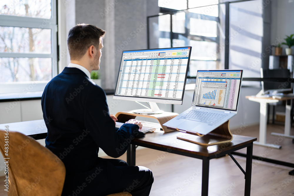Poster analyst working with spreadsheet business data