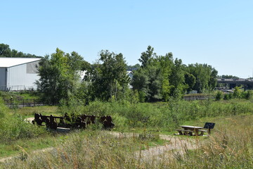 Trout Brook Sanctuary a Summer Experience