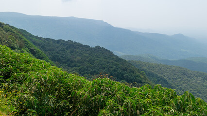 Naklejka premium Kolhapur-Goa Scenic Valleys at Amboli Ghat in Winter season