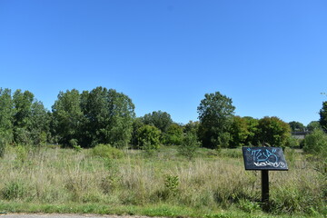Trout Brook Sanctuary a Summer Experience