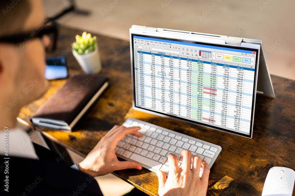 Poster Electronic Spreadsheet Analyst Or Auditor Using Software
