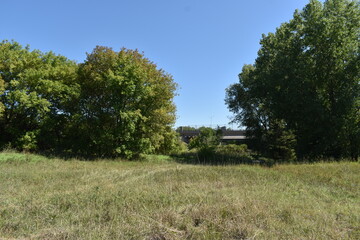 Fototapeta premium Trout Brook Sanctuary a Summer Experience