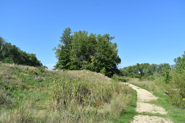 Obraz premium Trout Brook Sanctuary a Summer Experience