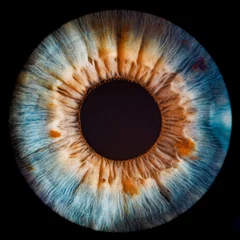 Möbelaufkleber close up of a blue brown eye © Lorant