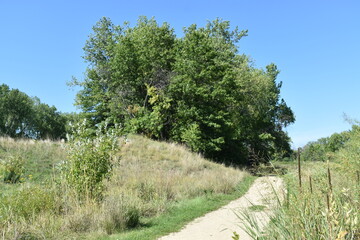 Fototapeta premium Trout Brook Sanctuary a Summer Experience