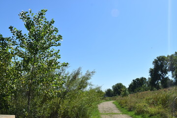 Obraz premium Trout Brook Sanctuary a Summer Experience