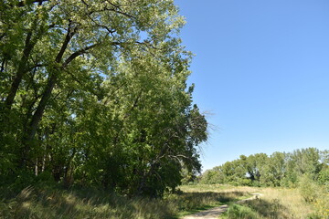 Trout Brook Sanctuary a Summer Experience