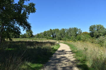 Trout Brook Sanctuary a Summer Experience