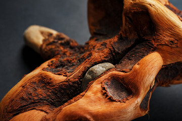 Textured curved wooden snag of brown color with texture as a background