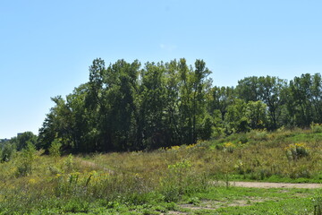 Trout Brook Sanctuary a Summer Experience