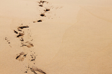 Footprint on sand from a barefoot walking person on a sunny day 