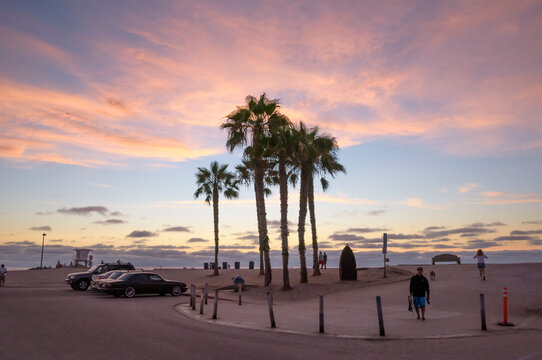 Palm trees at sunset - Ocean Beach, San Diego, CA