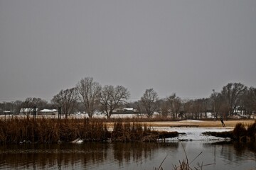 Snow Fall and Tree Landscapes, Canyon, Texas, January 2022.