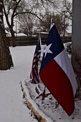 Snow Fall and Tree Landscapes, Canyon, Texas, January 2022.