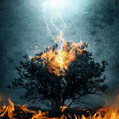 A lonely tree on fire after a lightning strike. The effect of overlay on the ancient texture of...