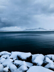 Rejreykjav&iacute;k Harbour