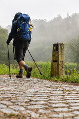 pilgrim walking on the way to St James (Santiago) on a foggy day in Galicia.