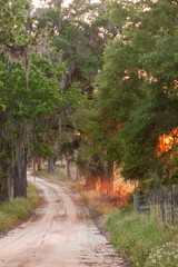 sunset fog on a gravel road