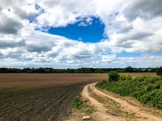 Ploughed Field