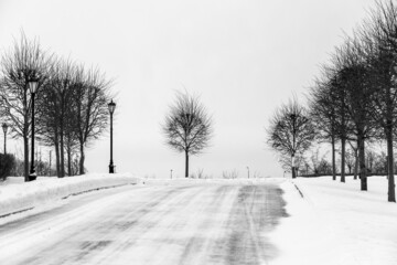 Snowy park view with frozen road and bare trees in winter