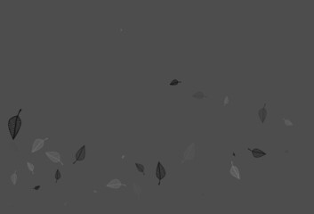 Light Silver, Gray vector doodle texture.
