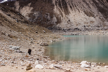 Mountain lake in the manaslu region in the Himalayas