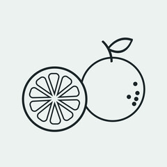 Orange fruit vector icon illustration sign