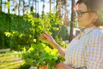 Woman holding branch of fresh rosemary in her hands, outdoor in the garden