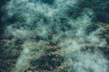 Autumn mansions were taken at Taiwan