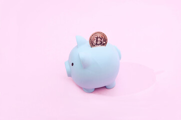 A golden bitcoin in a pastel blue piggy bank on pastel pink background. Creative concept for cryptocurrency or blockchain. Stock Market, digital gold money investment and stock business.