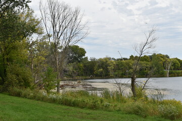 Summertime at Marydale