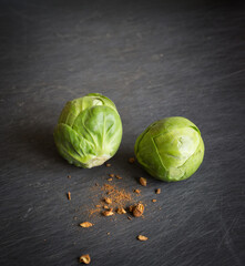 cabbage on a dark background_buds of brussel sprouts_Choux de Bruxelles_Rosenkohl