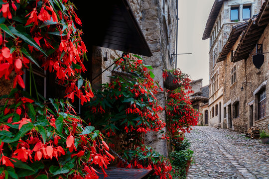 typical street with ivy and red flowers on the walls of the medieval village of Perouges in Lyon France.