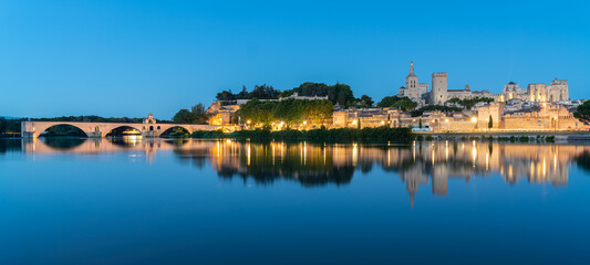 view from the Rhône river the city of Avignon - view from the fortress, bridge  and the Popes...