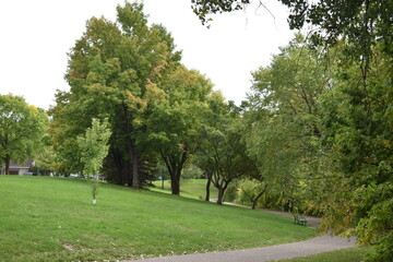 Summertime at Marydale