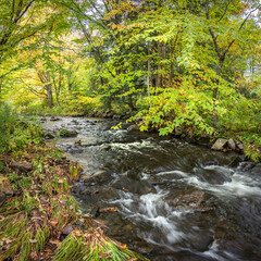 Thundering Brook Trail, Green Mountain National Forest, Woodstock, VT