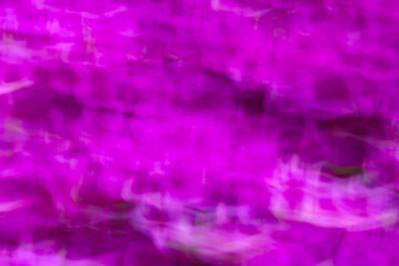 Nature abstract of blurred purple azalea flowers in Manchester, Connecticut.