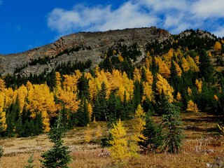 Autumn in the mountains
