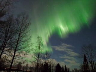 Aurora - beautiful Green northen lights