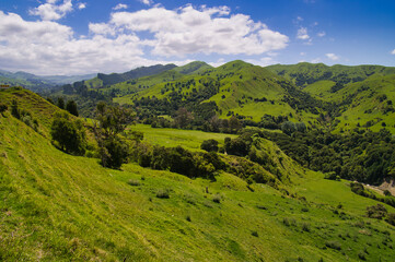 Typical New Zealand scenery, with lush green hills and farmland. Between Opotiki and Gisborne, East Coast, North Island
