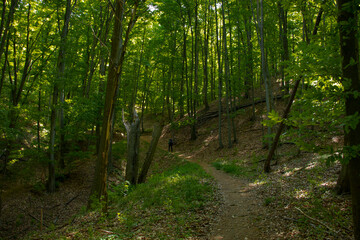 Miroc Mountain, Serbia