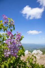 View from the top, Veliki Strbac, Miroc Mountain, Serbia  
