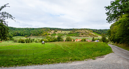 Fototapeta na wymiar Naturpark-Stromberg-Heuchelberg