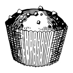 Chocolate chip cupcake dessert sketch. Hand drawn vector illustration in retro style. Single sweet food doodle. Outline clipart isolated on white background.