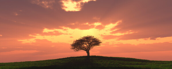 Fototapeta na wymiar tree and sunset